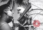 Immagine di Soldati statunitensi Guadalcanal nelle Isole Salomone, 1944, secondo 50 filmato di repertorio 65675074987