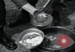 Image of 101st Airborne guards Little Rock Arkansas USA, 1957, second 53 stock footage video 65675074993