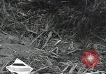 Immagine di Soldato giapponese Assam India, 1944, secondo 38 filmato di repertorio 65675075015