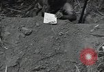 Immagine di Soldato giapponese Assam India, 1944, secondo 50 filmato di repertorio 65675075015