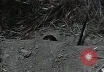Immagine di Soldato giapponese Assam India, 1944, secondo 57 filmato di repertorio 65675075015