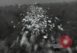 Standbild Büro des Krieges Informationsblätter Shan Birma, 1944, aus Sekunde 13 historischem Filmmaterial Videoclip 65675075018