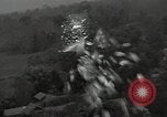 Standbild Büro des Krieges Informationsblätter Shan Birma, 1944, aus Sekunde 15 historischem Filmmaterial Videoclip 65675075018