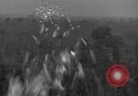 Standbild Büro des Krieges Informationsblätter Shan Birma, 1944, aus Sekunde 22 historischem Filmmaterial Videoclip 65675075018