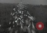 Standbild Büro des Krieges Informationsblätter Shan Birma, 1944, aus Sekunde 29 historischem Filmmaterial Videoclip 65675075018