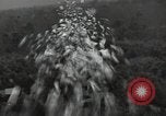 Standbild Büro des Krieges Informationsblätter Shan Birma, 1944, aus Sekunde 31 historischem Filmmaterial Videoclip 65675075018