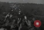 Standbild Büro des Krieges Informationsblätter Shan Birma, 1944, aus Sekunde 41 historischem Filmmaterial Videoclip 65675075018