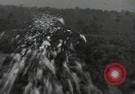 Standbild Büro des Krieges Informationsblätter Shan Birma, 1944, aus Sekunde 42 historischem Filmmaterial Videoclip 65675075018