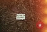 Immagine di Soldati statunitensi Il Vietnam, 1965, secondo 1 filmato di repertorio 65675075025