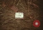 Immagine di Soldati statunitensi Il Vietnam, 1965, secondo 3 filmato di repertorio 65675075025