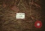 Immagine di Soldati statunitensi Il Vietnam, 1965, secondo 4 filmato di repertorio 65675075025