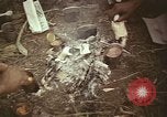 Immagine di Soldati statunitensi Il Vietnam, 1965, secondo 44 filmato di repertorio 65675075025