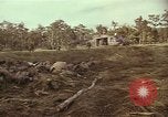 Image of United States soldiers Vietnam, 1965, second 29 stock footage video 65675075026