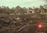 Image of United States soldiers Vietnam, 1965, second 30 stock footage video 65675075026