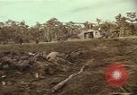 Image of United States soldiers Vietnam, 1965, second 31 stock footage video 65675075026