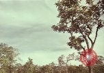 Image of United States soldiers Vietnam, 1965, second 48 stock footage video 65675075026