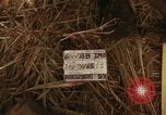 Image of United States soldiers Vietnam, 1965, second 28 stock footage video 65675075027