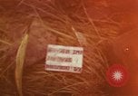 Image of United States soldiers Vietnam, 1965, second 1 stock footage video 65675075028