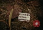 Image of United States soldiers Vietnam, 1965, second 3 stock footage video 65675075028