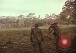 Image of United States soldiers Vietnam, 1965, second 10 stock footage video 65675075028
