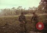 Image of United States soldiers Vietnam, 1965, second 13 stock footage video 65675075028