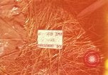 Image of United States soldiers Vietnam, 1965, second 1 stock footage video 65675075029