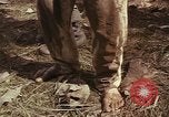 Image of United States soldiers Vietnam, 1965, second 56 stock footage video 65675075029