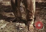 Image of United States soldiers Vietnam, 1965, second 57 stock footage video 65675075029