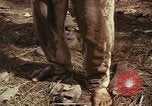 Image of United States soldiers Vietnam, 1965, second 58 stock footage video 65675075029