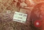 Image of United States soldiers Vietnam, 1965, second 1 stock footage video 65675075030