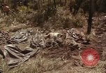 Image of United States soldiers Vietnam, 1965, second 27 stock footage video 65675075030