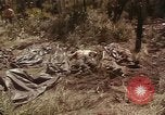 Image of United States soldiers Vietnam, 1965, second 28 stock footage video 65675075030