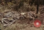Image of United States soldiers Vietnam, 1965, second 29 stock footage video 65675075030