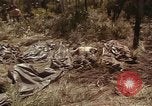 Image of United States soldiers Vietnam, 1965, second 30 stock footage video 65675075030