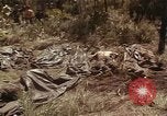 Image of United States soldiers Vietnam, 1965, second 31 stock footage video 65675075030
