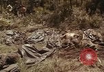 Image of United States soldiers Vietnam, 1965, second 32 stock footage video 65675075030