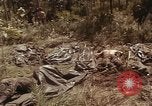 Image of United States soldiers Vietnam, 1965, second 33 stock footage video 65675075030