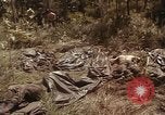Image of United States soldiers Vietnam, 1965, second 34 stock footage video 65675075030