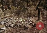 Image of United States soldiers Vietnam, 1965, second 40 stock footage video 65675075030