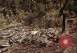 Image of United States soldiers Vietnam, 1965, second 41 stock footage video 65675075030