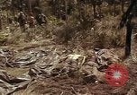 Image of United States soldiers Vietnam, 1965, second 44 stock footage video 65675075030