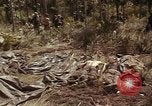 Image of United States soldiers Vietnam, 1965, second 46 stock footage video 65675075030