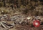 Image of United States soldiers Vietnam, 1965, second 47 stock footage video 65675075030