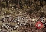 Image of United States soldiers Vietnam, 1965, second 48 stock footage video 65675075030