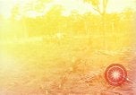 Image of United States soldiers Vietnam, 1965, second 53 stock footage video 65675075030
