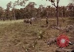 Image of United States soldiers Vietnam, 1965, second 54 stock footage video 65675075030