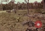 Image of United States soldiers Vietnam, 1965, second 58 stock footage video 65675075030
