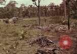 Image of United States soldiers Vietnam, 1965, second 60 stock footage video 65675075030