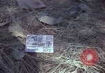 Image of United States soldiers Vietnam, 1965, second 3 stock footage video 65675075031