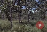 Image of United States soldiers Vietnam, 1965, second 13 stock footage video 65675075032